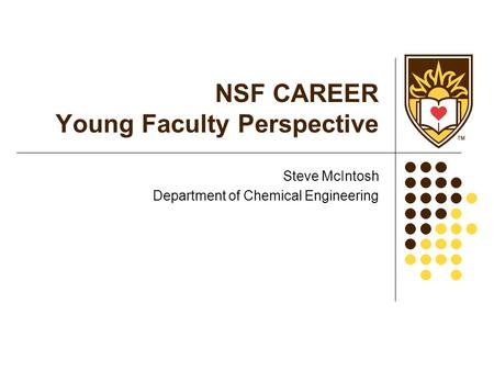 NSF CAREER Young Faculty Perspective Steve McIntosh Department of Chemical Engineering.