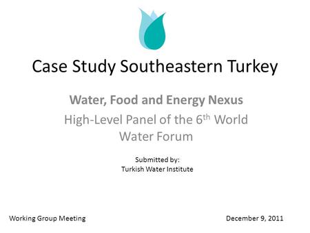 Case Study Southeastern Turkey Water, Food and Energy Nexus High-Level Panel of the 6 th World Water Forum Working Group Meeting December 9, 2011 Submitted.