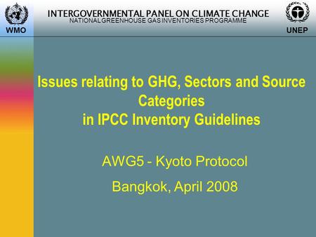 INTERGOVERNMENTAL PANEL ON CLIMATE CHANGE NATIONAL GREENHOUSE GAS INVENTORIES PROGRAMME WMO UNEP Issues relating to GHG, Sectors and Source Categories.