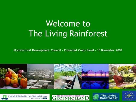 Welcome to The Livin g Rainforest Horticultural Development Council - Protected Crops Panel - 15 November 2007.