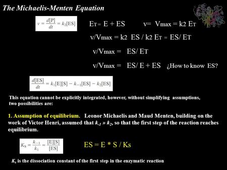 The Michaelis-Menten Equation