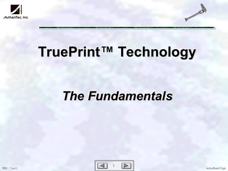 DRS \\ 7jun02 1 techieDetail16.ppt TruePrint Technology The Fundamentals.