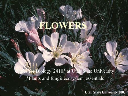 FLOWERS Notes for Biology 2410* at Utah State University