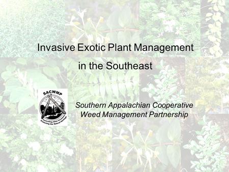 Invasive Exotic Plant Management in the Southeast Southern Appalachian Cooperative Weed Management Partnership.