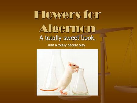 Flowers for Algernon A totally sweet book. A totally sweet book. And a totally decent play.
