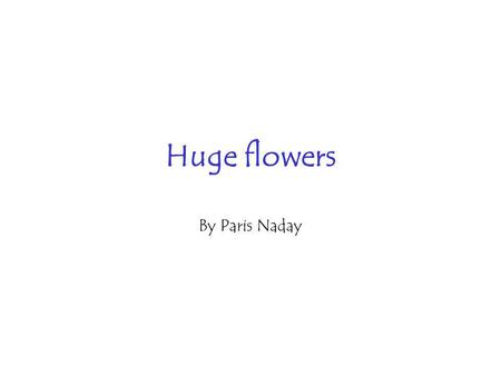 Huge flowers By Paris Naday. Wouldnt it be funny if all the flowers were so huge you needed five acres of land in order to grow one! Hardly anyone would.