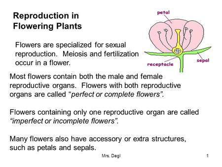 Sexual Reproduction in Plants - ppt download