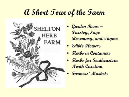 A Short Tour of the Farm Garden Rows – Parsley, Sage Rosemary, and Thyme Edible Flowers Herbs in Containers Herbs for Southeastern North Carolina Farmers.