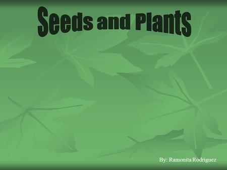 Seeds and Plants By: Ramonita Rodriguez.