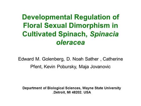 Developmental Regulation of Floral Sexual Dimorphism in Cultivated Spinach, Spinacia oleracea Edward M. Golenberg, D. Noah Sather, Catherine Pfent, Kevin.