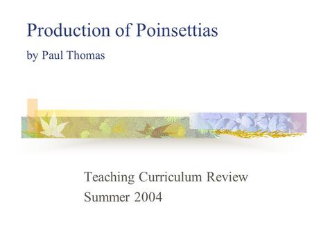 Production of Poinsettias by Paul Thomas Teaching Curriculum Review Summer 2004.