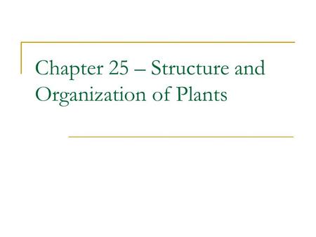 Chapter 25 – Structure and Organization of Plants