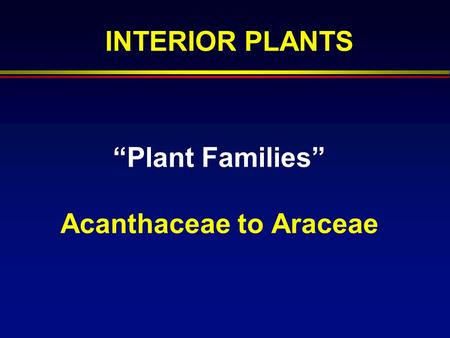 “Plant Families” Acanthaceae to Araceae