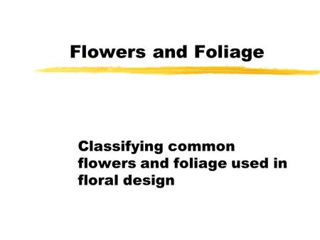 Flowers and Foliage Classifying common flowers and foliage used in floral design.