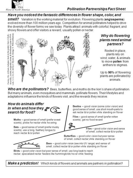 Pollination Partnerships Fact Sheet Who are the pollinators? Bees, butterflies, and moths do the lions share of pollination. But many animals, even mosquitoes.
