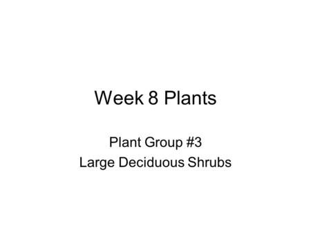 Week 8 Plants Plant Group #3 Large Deciduous Shrubs.
