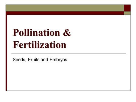 Pollination & Fertilization