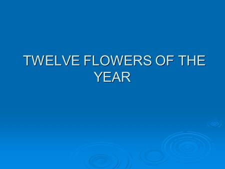 TWELVE FLOWERS OF THE YEAR