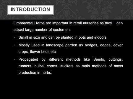 Ornamental Herbs are important in retail nurseries as they can attract large number of customers Small in size and can be planted in pots and indoors Mostly.