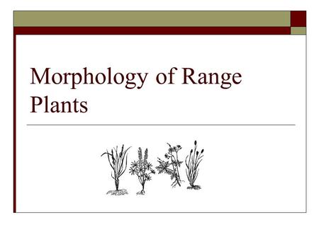 Morphology of Range Plants. Objectives Define plant morphology Describe characteristics of the leaves, stems, roots, and flowers of range plants Describe.