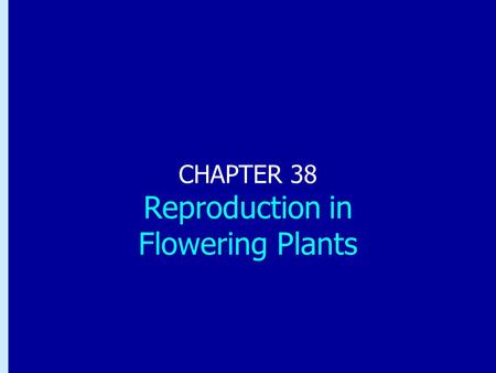CHAPTER 38 Reproduction in