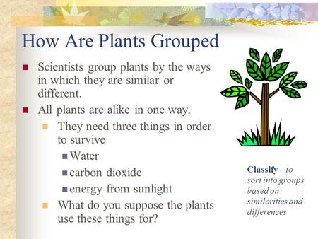 How Are Plants Grouped Scientists group plants by the ways in which they are similar or different. All plants are alike in one way. They need three things.