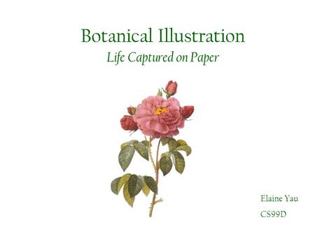 Botanical Illustration Life Captured on Paper Elaine Yau CS99D.