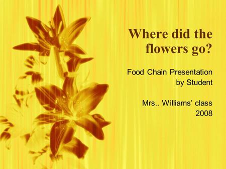 Where did the flowers go? Food Chain Presentation by Student Mrs.. Williams class 2008 Food Chain Presentation by Student Mrs.. Williams class 2008.