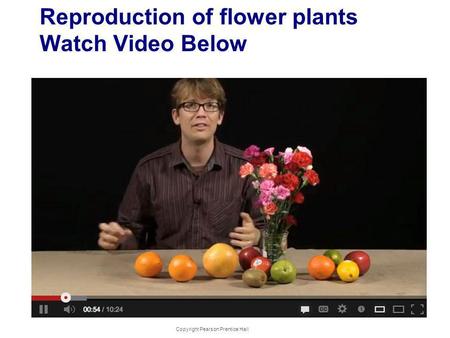 Reproduction of flower plants Watch Video Below