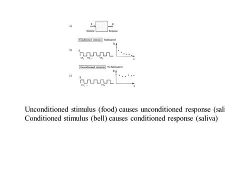 Unconditioned stimulus (food) causes unconditioned response (saliva) Conditioned stimulus (bell) causes conditioned response (saliva)