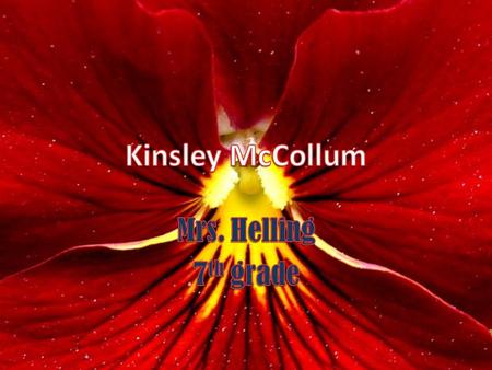 Kinsley McCollum Mrs. Helling 7th grade.
