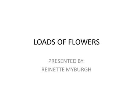 LOADS OF FLOWERS PRESENTED BY: REINETTE MYBURGH. BACKGROUND The Company was established in 2002 by Belinda Willemse. We have grown into a very well established.