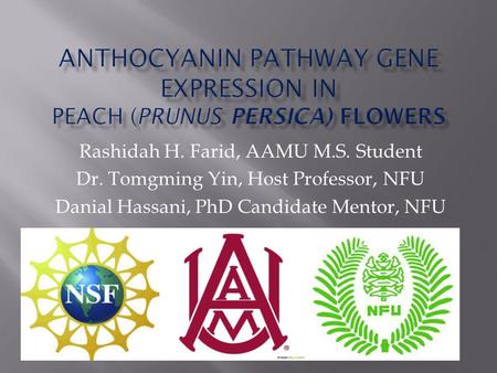 Rashidah H. Farid, AAMU M.S. Student Dr. Tomgming Yin, Host Professor, NFU Danial Hassani, PhD Candidate Mentor, NFU.