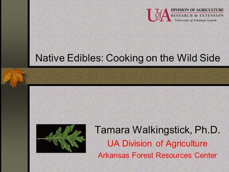 Native Edibles: Cooking on the Wild Side