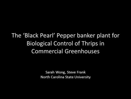 The Black Pearl Pepper banker plant for Biological Control of Thrips in Commercial Greenhouses Sarah Wong, Steve Frank North Carolina State University.
