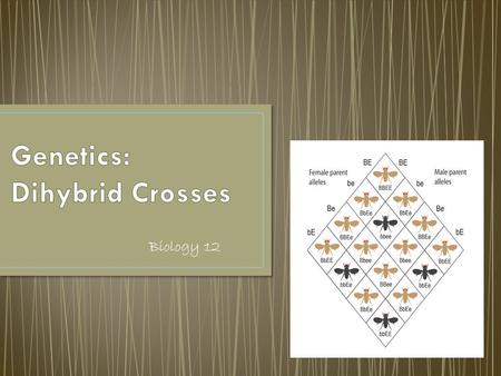 Biology 12. These are crosses that involve genes for two different characteristics.