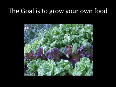 The Goal is to grow your own food. The Goal is to relax in the Garden.