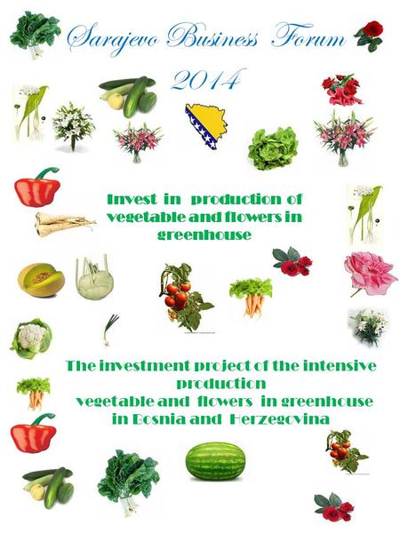 Sarajevo Business Forum 2014 The investment project of the intensive production vegetable and flowers in greenhouse in Bosnia and Herzegovina Invest in.