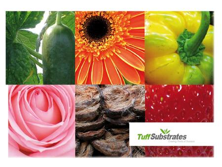 TUFF is the largest growing media manufacturer in Israel, producing and marketing professional substrates and potting soil.