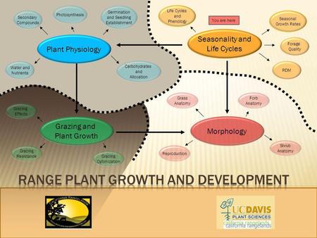 Range Plant Growth and Development