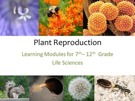 Learning Modules for 7th– 12th Grade Life Sciences