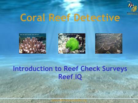Www.reefcheckaustralia.org Coral Reef Detective Introduction to Reef Check Surveys Reef IQ.