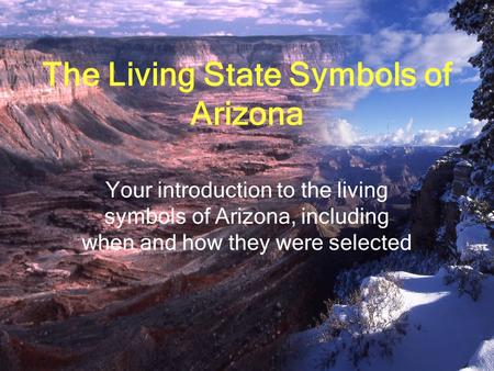The Living State Symbols of Arizona Your introduction to the living symbols of Arizona, including when and how they were selected.