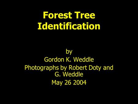 Forest Tree Identification