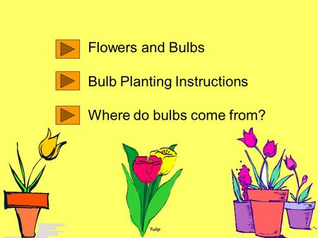Flowers and Bulbs Bulb Planting Instructions Where do bulbs come from?