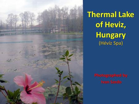 Thermal Lake of Heviz, Hungary (Hévíz Spa) Photographed by Ivan Szedo Ivan Szedo.