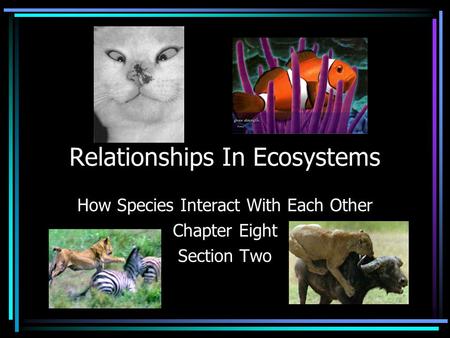 Relationships In Ecosystems How Species Interact With Each Other Chapter Eight Section Two.