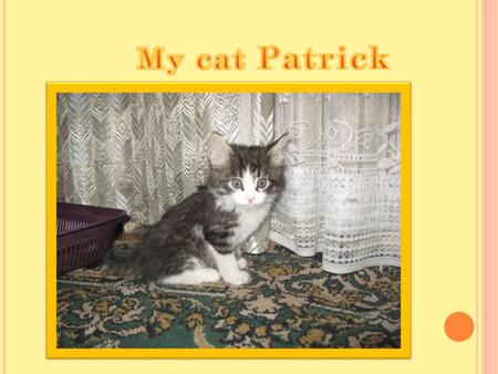 M Y CAT IS CALLED P ATRICK. H E IS VERY FUN. 1 YEAR AGO WE TOOK HIM AND SINCE THIS TIME WE BEGIN LIVE WITH BEAUTIFUL CAT. T HE FIRST TIME IT WAS THE CALM,