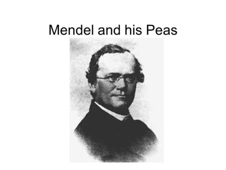 Mendel and his Peas. The passing of traits from parents to offspring.