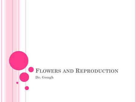 F LOWERS AND R EPRODUCTION Dr. Gough. F IGURE 09.07A: ( A ) T HE SEPALS OF THIS ROSE FORM A TIGHT COVERING OVER THE REST OF THE FLOWER AS IT DEVELOPS,
